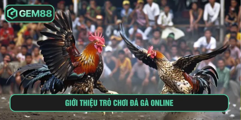 Đá Gà Online GEM88: Trải Nghiệm Sân Chơi Hấp Dẫn Nhất 2025 Đá gà online là thể loại giải trí yêu thích hiện nay