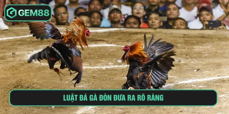 Đá Gà Đòn Thomo: Hội Tụ Các Cuộc So Tài Đỉnh Cao Tại Gem88 Luật đá gà đòn Thomo theo hạng cân rõ ràng