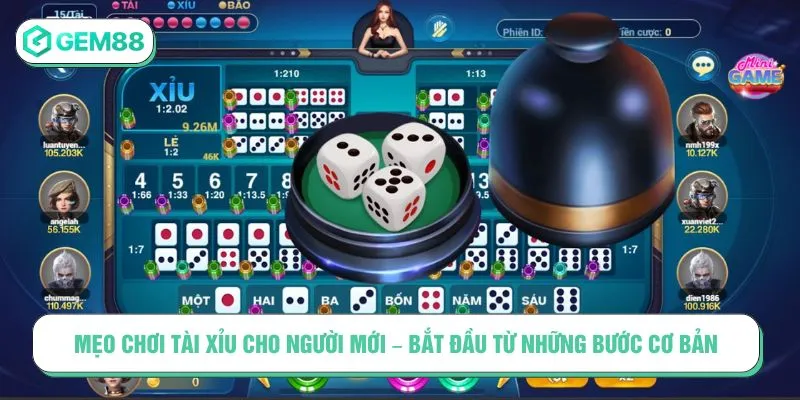 Mẹo chơi tài xỉu cho người mới – Bắt đầu từ những bước cơ bản