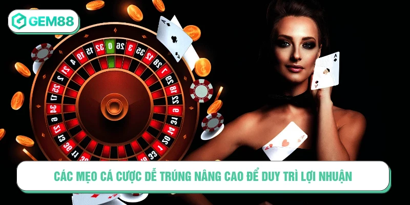 Các mẹo cá cược dễ trúng nâng cao để duy trì lợi nhuận