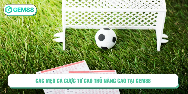 Các mẹo cá cược từ cao thủ nâng cao tại GEM88