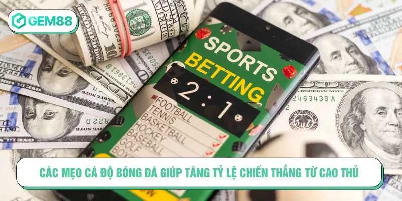 Các mẹo cá độ bóng đá giúp tăng tỷ lệ chiến thắng từ cao thủ