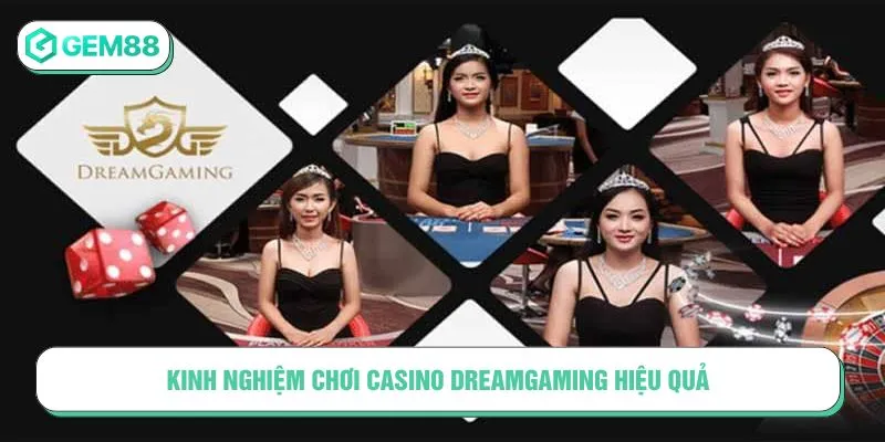 Casino DG DreamGaming – Đấu Trường Cá Cược Trực Tuyến Uy Tín Kinh nghiệm chơi Casino DreamGaming hiệu quả