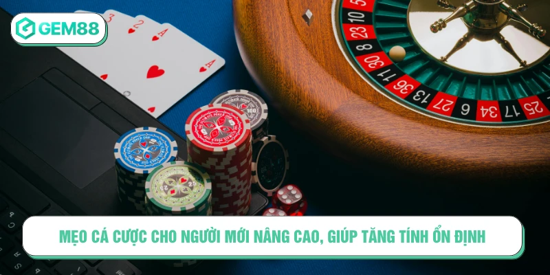 Mẹo cá cược cho người mới nâng cao, giúp tăng tính ổn định