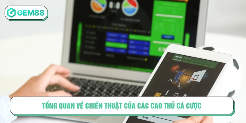 Tổng quan về chiến thuật của các cao thủ cá cược 